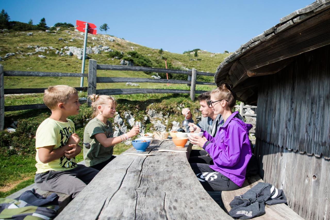 Villa Alpine Chalet Velika Planina - Irenca - I Feel Alps à Stahovica Extérieur photo